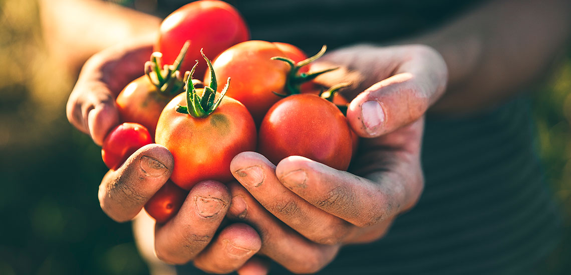 Trabajamos junto a ti