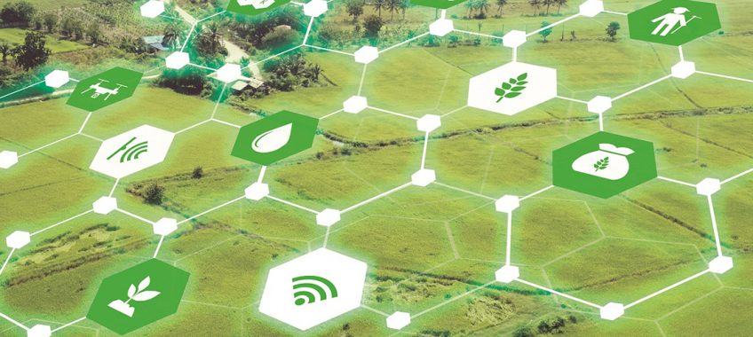 Agricultura de precisión